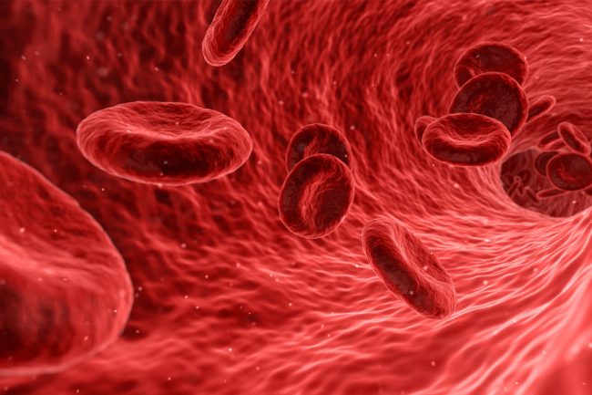 Homocystein zu hoch: Auswirkung auf die Blutgefässe